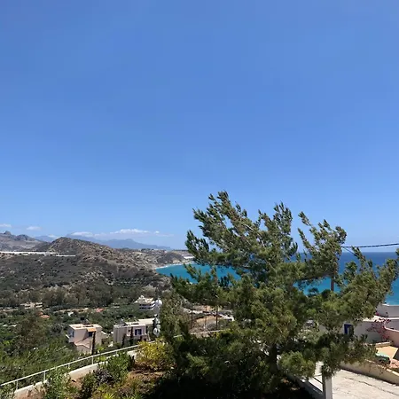 Aliki